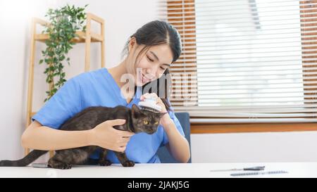 PET Salon Concept, veterinario femmina uso pettinatura spazzola capelli per spazzolare pelliccia di gatto nel salone. Foto Stock