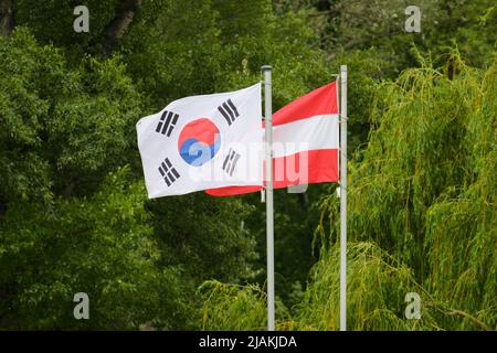 Le bandiere della Corea del Sud e dell'Austria, parco a Vienna (Austria) Foto Stock