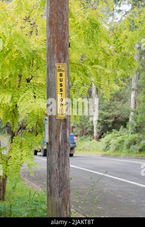 Un semplice segnale nero e giallo della fermata dell'autobus inchiodato ad un palo di potere di legno accanto ad una strada nel sobborgo settentrionale di Sydney di NormanHurst in Australia Foto Stock