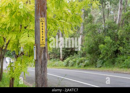 Un semplice segnale nero e giallo della fermata dell'autobus inchiodato ad un palo di potere di legno accanto ad una strada nel sobborgo settentrionale di Sydney di NormanHurst in Australia Foto Stock