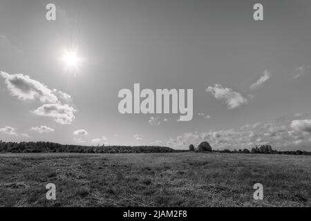 Campo e foresta sotto il sole luminoso a mezzogiorno. HDR in bianco e nero Foto Stock
