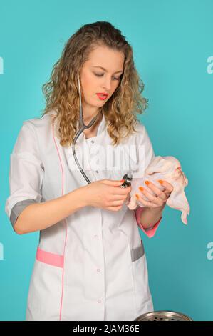 il medico ascolta un pollo con uno stetoscopio. sfondo turchese Foto Stock