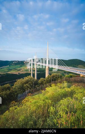 Viaduc de Millau, ponte Millau all'alba Foto Stock