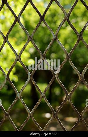 primo piano vecchio recinto di ferro arrugginito Foto Stock