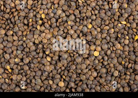 Fondo lenticchie francesi. Asciutto puy lentil granisce mucchio. Vista dall'alto Foto Stock