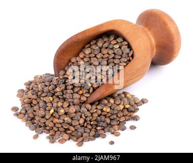 Lenticchie francesi in paletta di legno, isolate su sfondo bianco. Asciutto puy lentil granisce mucchio Foto Stock