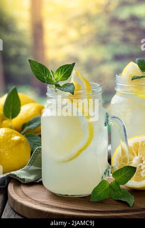 Bicchiere di limonata con menta e limone su un vassoio di legno con sfondo rurale Foto Stock