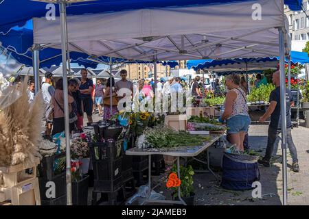 LE MARCHE AUX FLEURS, PORTO VECCHIO, MARSIGLIA PACA Foto Stock