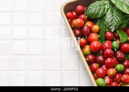 chicchi di caffè rosso fresco con foglie Foto Stock