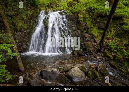 Le cascate di Tom Gill sotto Tarn Hows, Lake District, Inghilterra Foto Stock