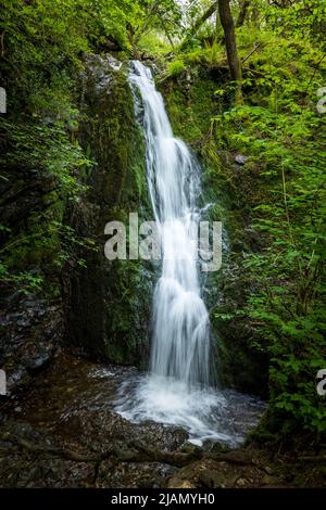 Le cascate di Tom Gill sotto Tarn Hows, Lake District, Inghilterra Foto Stock