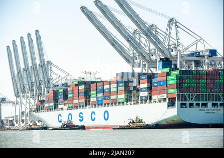 Immagini di scorta della nave COSCO Development Container, la più grande nave che mai chiamava la costa orientale, entrò nel fiume Savannah questa mattina e nel mak Foto Stock