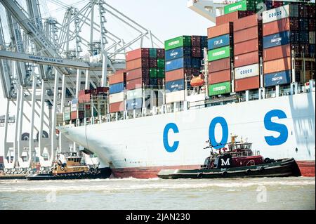 Immagini di scorta della nave COSCO Development Container, la più grande nave che mai chiamava la costa orientale, entrò nel fiume Savannah questa mattina e nel mak Foto Stock