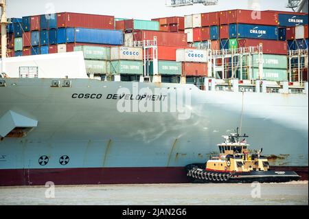 Immagini di scorta della nave COSCO Development Container, la più grande nave che mai chiamava la costa orientale, entrò nel fiume Savannah questa mattina e nel mak Foto Stock