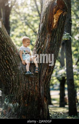 Ritratto del ragazzo carino seduto sul grande vecchio albero in giornata di sole. Foto Stock