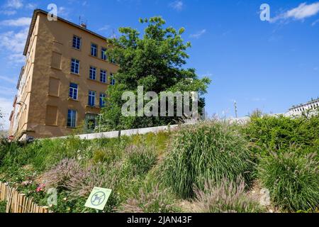 Giardino le Gros Caillou, quartiere Croix-Rousse, Lione, regione Rodano-Alpi Auvergne, Francia centro-orientale Foto Stock