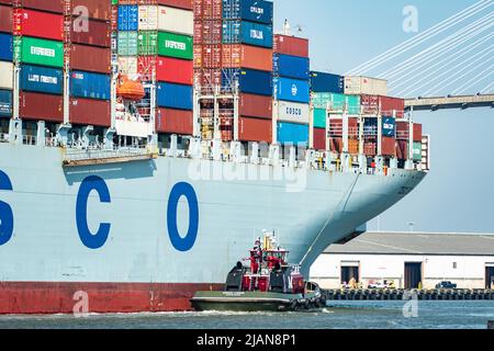 Immagini di scorta della nave COSCO Development Container, la più grande nave che mai chiamava la costa orientale, entrò nel fiume Savannah questa mattina e nel mak Foto Stock