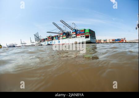 COSCO Development Container, la nave più grande da chiamare sulla costa orientale, entrò nel porto di Savannah River, dirigendosi verso la Georgia Ports Authority Foto Stock