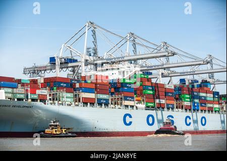 COSCO Development Container, la nave più grande da chiamare sulla costa orientale, entrò nel porto di Savannah River, dirigendosi verso la Georgia Ports Authority Foto Stock