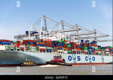 COSCO Development Container, la nave più grande da chiamare sulla costa orientale, entrò nel porto di Savannah River, dirigendosi verso la Georgia Ports Authority Foto Stock