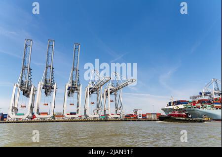 COSCO Development Container, la nave più grande da chiamare sulla costa orientale, entrò nel porto di Savannah River, dirigendosi verso la Georgia Ports Authority Foto Stock