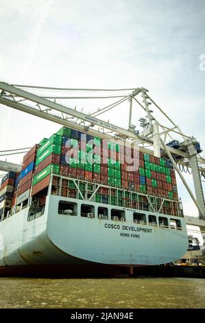 COSCO Development Container, la nave più grande da chiamare sulla costa orientale, entrò nel porto di Savannah River, dirigendosi verso la Georgia Ports Authority Foto Stock