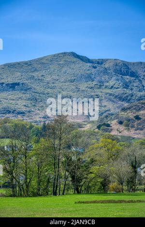 Una vista del vecchio uomo di Coniston che è una montagna famosa nel Lake District Foto Stock