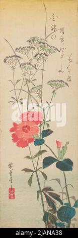 Garofani rosa scuro e fiori selvatici /Nadeshiko, fujibakama Foto Stock