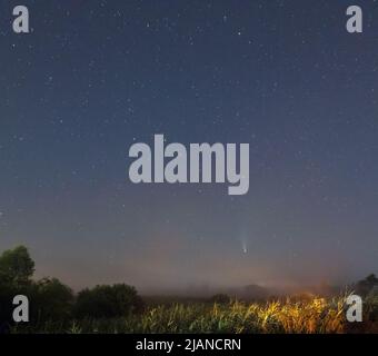 Comet Neowise C2020 F3 come vola in alto nel cielo estivo sopra prato vicino campagna strada, regione Lviv, Ucraina. Foto Stock