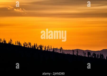 Silhouette di alberi in montagna contro l'alba. I Monti Tatra, Slovacchia. Foto Stock