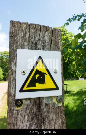 Fare attenzione al cartello di avvertimento toro su un palo di recinzione. Triangolo giallo con silhouette di toro. Foto Stock