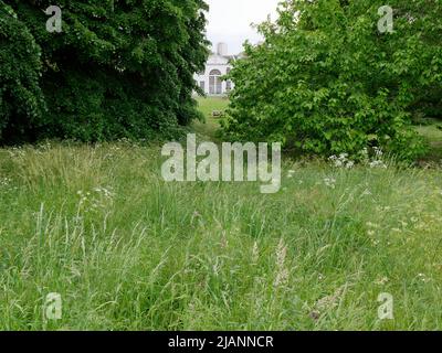 Richmond, Greater London, Inghilterra, maggio 18 2022: Royal Botanic Gardens Kew. Vista dal terreno di Kew verso l'Orangery e tavoli da picnic. Foto Stock