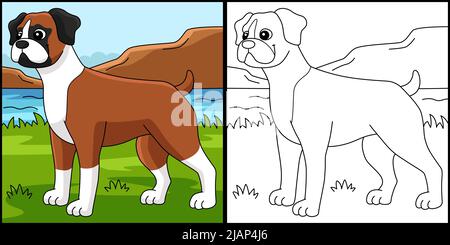 Boxer Dog colorazione pagina Illustrazione colorata Illustrazione Vettoriale