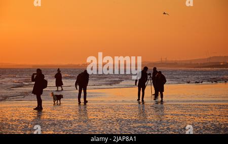 La fine della giornata ha plasmarsi le figure delle persone sulla spiaggia a bassa marea, Brighton & Hove, East Sussex, Inghilterra, Regno Unito. Fotografo con treppiede; cane. Guardando verso ovest verso Worthing Foto Stock