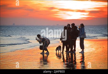 Forme di persone sulla spiaggia a bassa marea, Brighton & Hove, East Sussex, Inghilterra, Regno Unito. Gruppo di amici; giovani adulti con bevande in mano; uno fotografando il mare; un cane. Skyline di Worthing all'orizzonte lontano Foto Stock