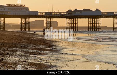 Dawn silhouette di un uomo con un cane sulla spiaggia a bassa marea, Brighton & Hove, East Sussex, Inghilterra, Regno Unito. Mattina. Palazzo / Brighton Pier sullo sfondo. Foto Stock