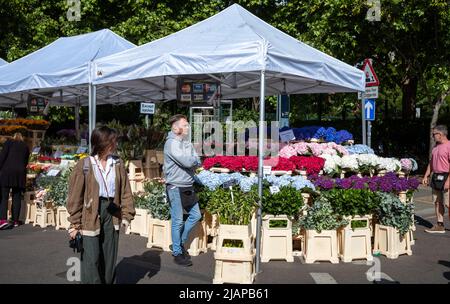 Un venditore di fiori si trova presso la sua bancarella in Columbia Road Flower Market, nella parte orientale di Londra Foto Stock