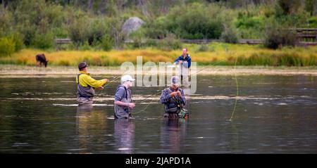 Pescatori al lago Sprague. Pescatore di volo ottenere una visita a sorpresa da un alce, Rocky Mountain National Park. Colorado, Stati Uniti d'America Una versione unica e ottimizzata di un'immagine NPS, Credit: NPS/M.Reed Foto Stock