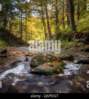 Il torrente LogieÕs fa parte dello spartiacque di Spencer Creek, appena sotto le Lower Tew's Falls. Hamilton, Ontario, Canada Foto Stock