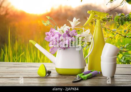 Annaffiatura può con fiori e diversi attrezzi da giardinaggio su tavola all'aperto Foto Stock