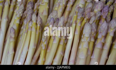 Asparagi bianchi verticali con belle punte viola in full frame presso un mercato agricolo a Hobart, Tasmania, Australia Foto Stock