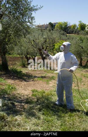 immagine di un agricoltore con tute, maschera, guanti e occhiali protettivi che spruzza insetticidi ed erbicidi su olivi e alberi da frutto. Riferimento ad agen Foto Stock