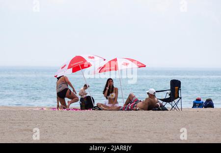 Toronto, Canada. 31st maggio 2022. Le persone si raffreddano sotto gli ombrelloni sulla spiaggia del lago Ontario a Toronto, Canada, 31 maggio 2022. Credit: Zou Zheng/Xinhua/Alamy Live News Foto Stock