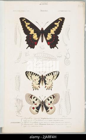 Lépidoptera Plansza proviene dal Dizionario universale di Storia Naturale che riassume e completa tutti i fatti presentati dagli Enciclopedie, /. In una collezione di tavole di vari album di storia naturale Teillard, Delarue, n.remond imp Foto Stock