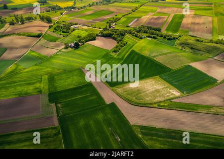 Campi di raccolto lussureggianti colorati nel paesaggio rurale del Counrtyside. Vista aerea del drone. Terre polacche. Foto Stock