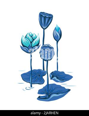 Illustrazione vettoriale con lotti blu e steli nel lago. Immagine botanica con fogliame e fiori su sfondo bianco. Parte piatta disegnata a mano Illustrazione Vettoriale