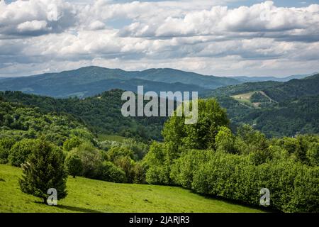 Vista panoramica sulla catena montuosa del Pieniny e sugli alti Tatra da Palenica a Szczawnica, Polonia. Foto Stock