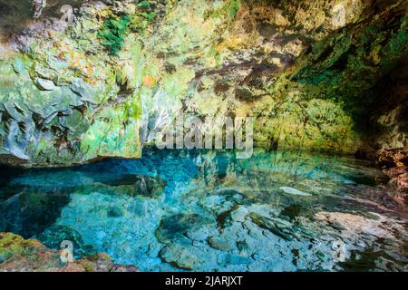 Vista della splendida piscina naturale di acqua cristallina formata in una grotta rocciosa con stalagmiti e stalagmiti. Caverna di Kuza a Zanzibar, Tanzania Foto Stock