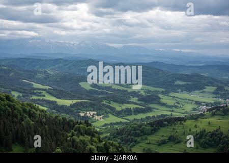 Vista panoramica sulla catena montuosa del Pieniny e sugli alti Tatra da Palenica a Szczawnica, Polonia. Foto Stock