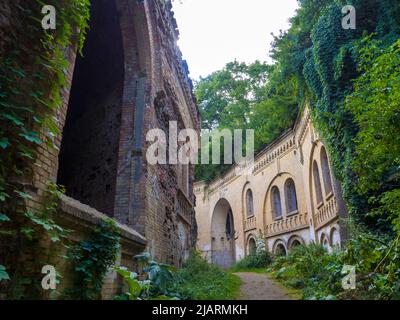 Fortezza abbandonata fuori, rovinata cittadella boscosa Tarakaniv, Ucraina Foto Stock